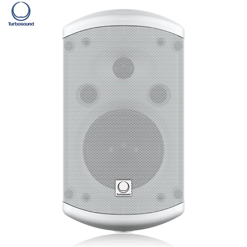 Loa Turbosound TCI52-TR 10